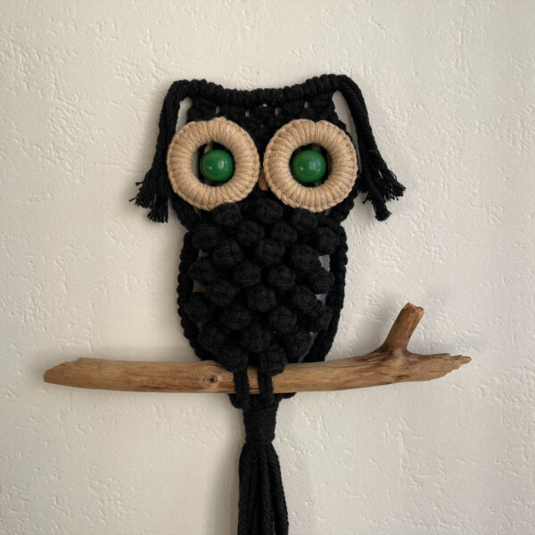 Hibou noir aux yeux verts – Image 2