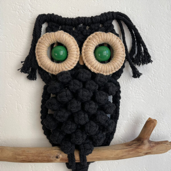 Hibou noir aux yeux verts – Image 3