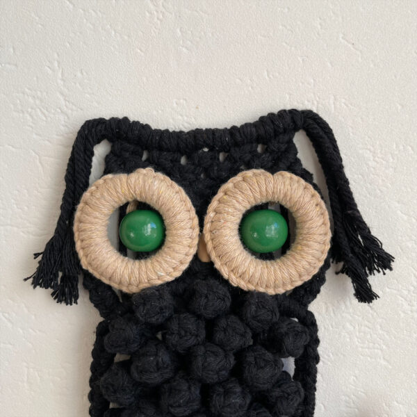 Hibou noir aux yeux verts – Image 4