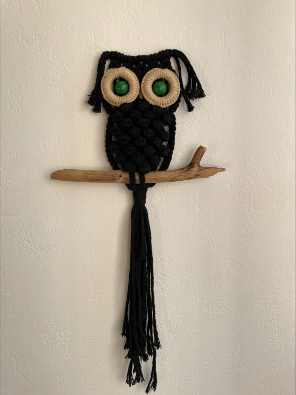 Hibou noir aux yeux verts – Image 5