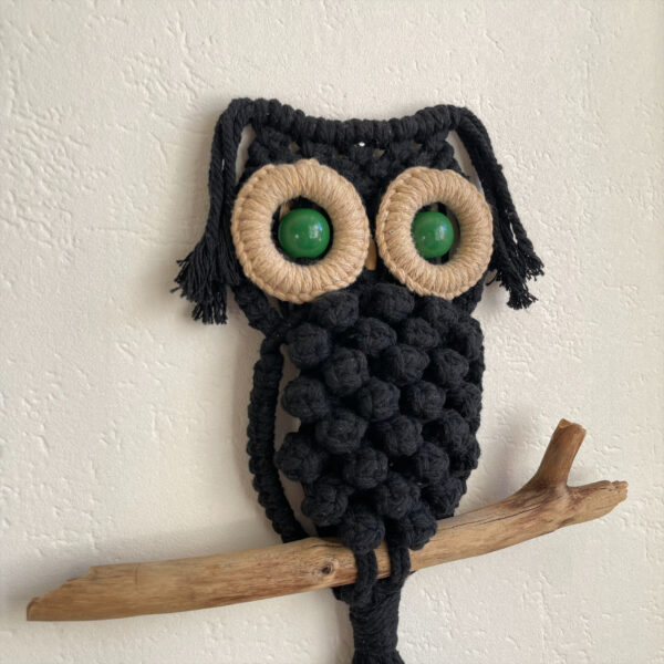 Hibou noir aux yeux verts